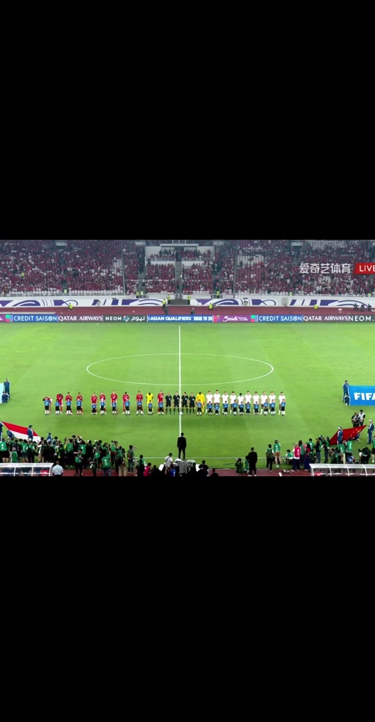 观众沸腾热情，为球队激情呐喊