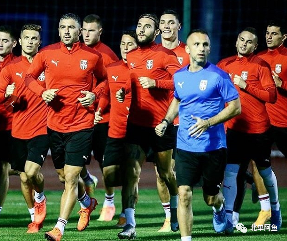 挪威逆袭塞尔维亚，小组出线前景一片光明的简单介绍
