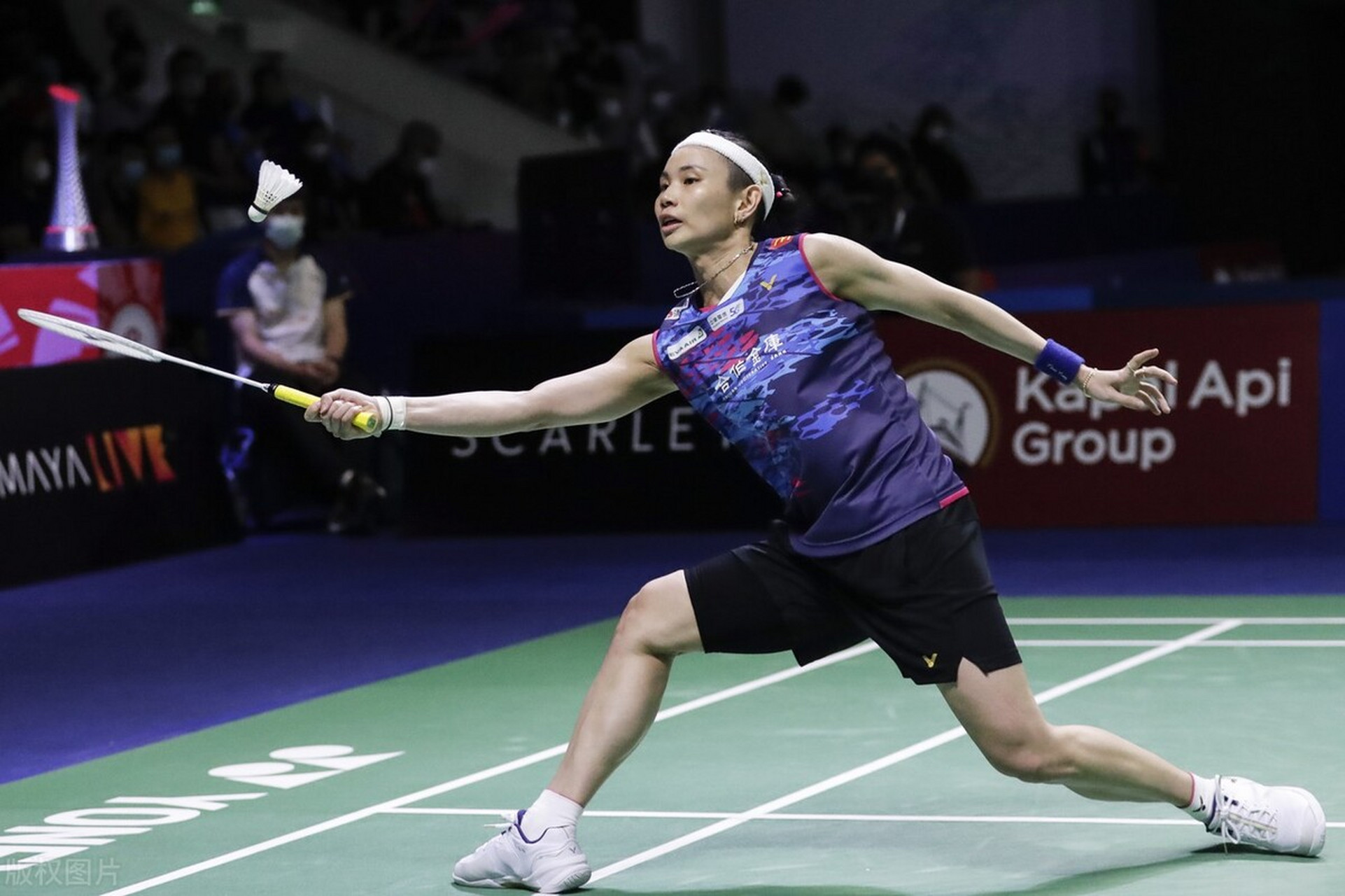 雷火电竞简介-法国队逆转日本队，戴资颖扛起全队