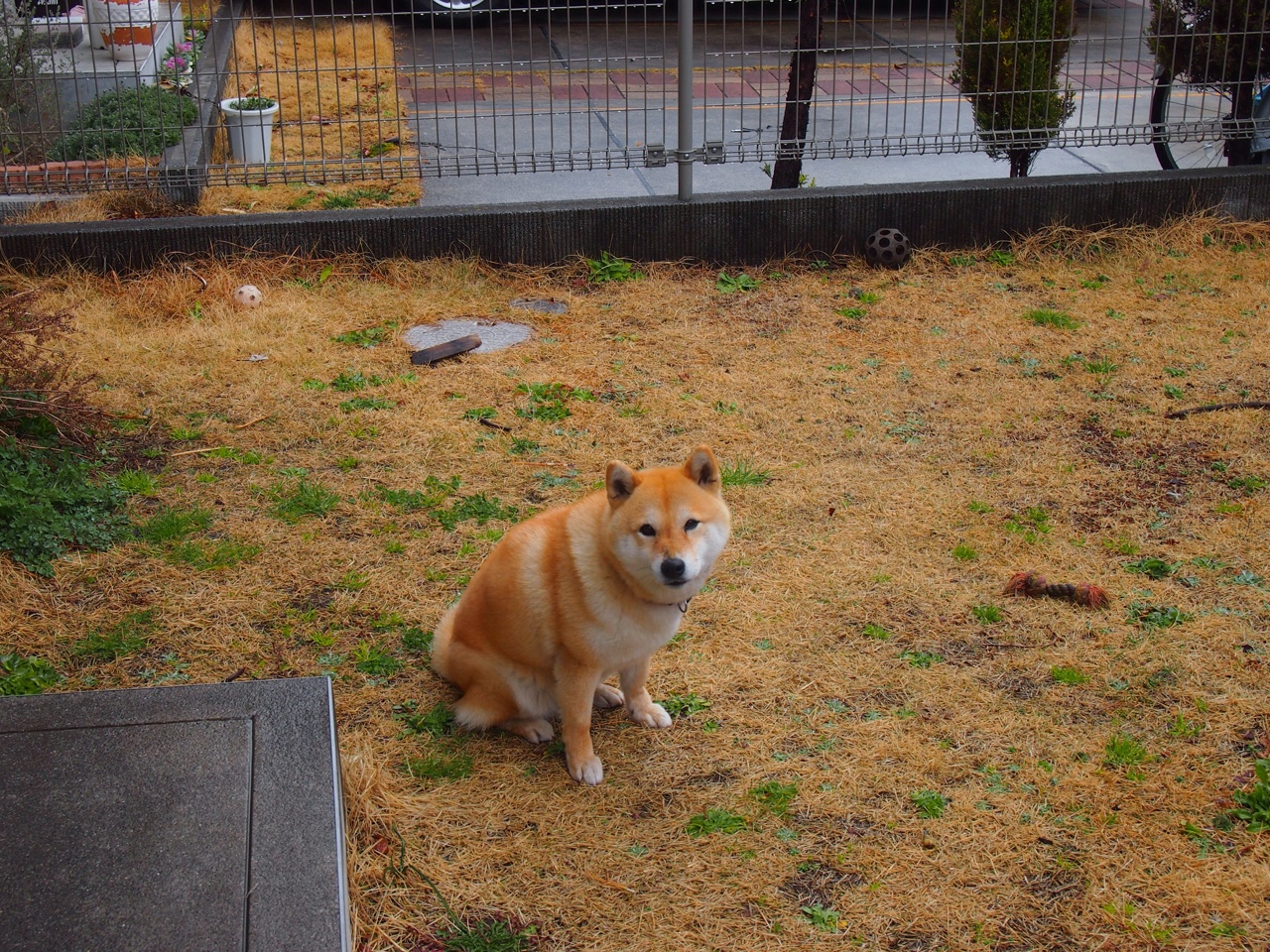 雷火电竞app-詹姆斯的火焰与岭南的风，当篮球成为跨越时空的对话