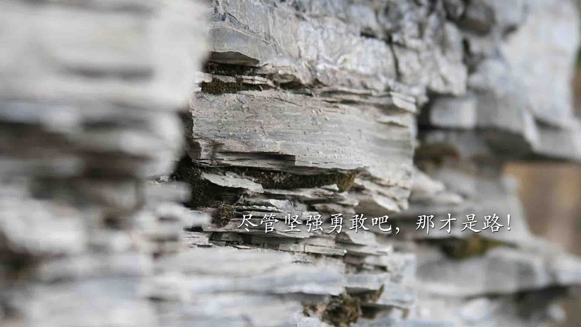 速度与激情的双重奏，F1新赛季与勇士血拼魔术的跨时空交响