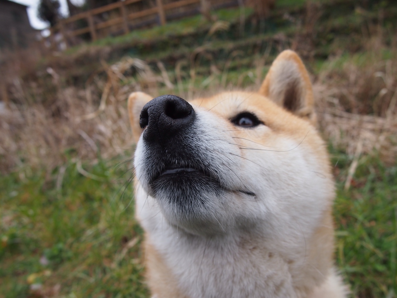 篮球与足球的激情碰撞,毕尔巴鄂末节上演NBA式逆转,带走尼斯胜利