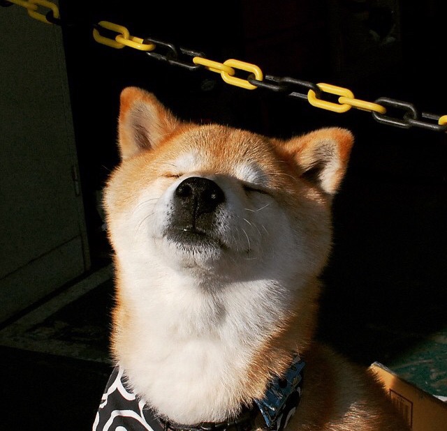 双线传奇,葡萄牙狂胜里昂之夜,莫德里奇跨界抢七接管比赛