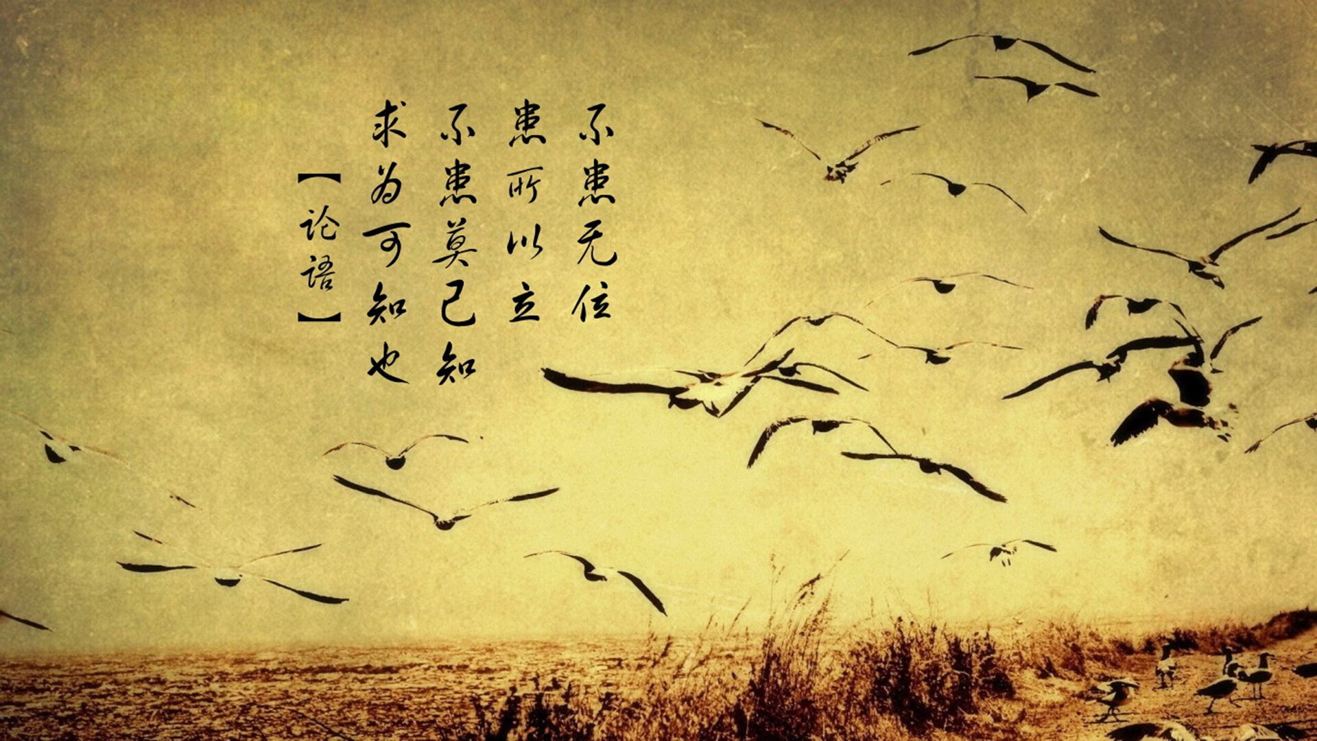 雷火电竞简介-当篮球神话改写宿命，辽宁三战封神之夜，拉文射落不可战胜的国王