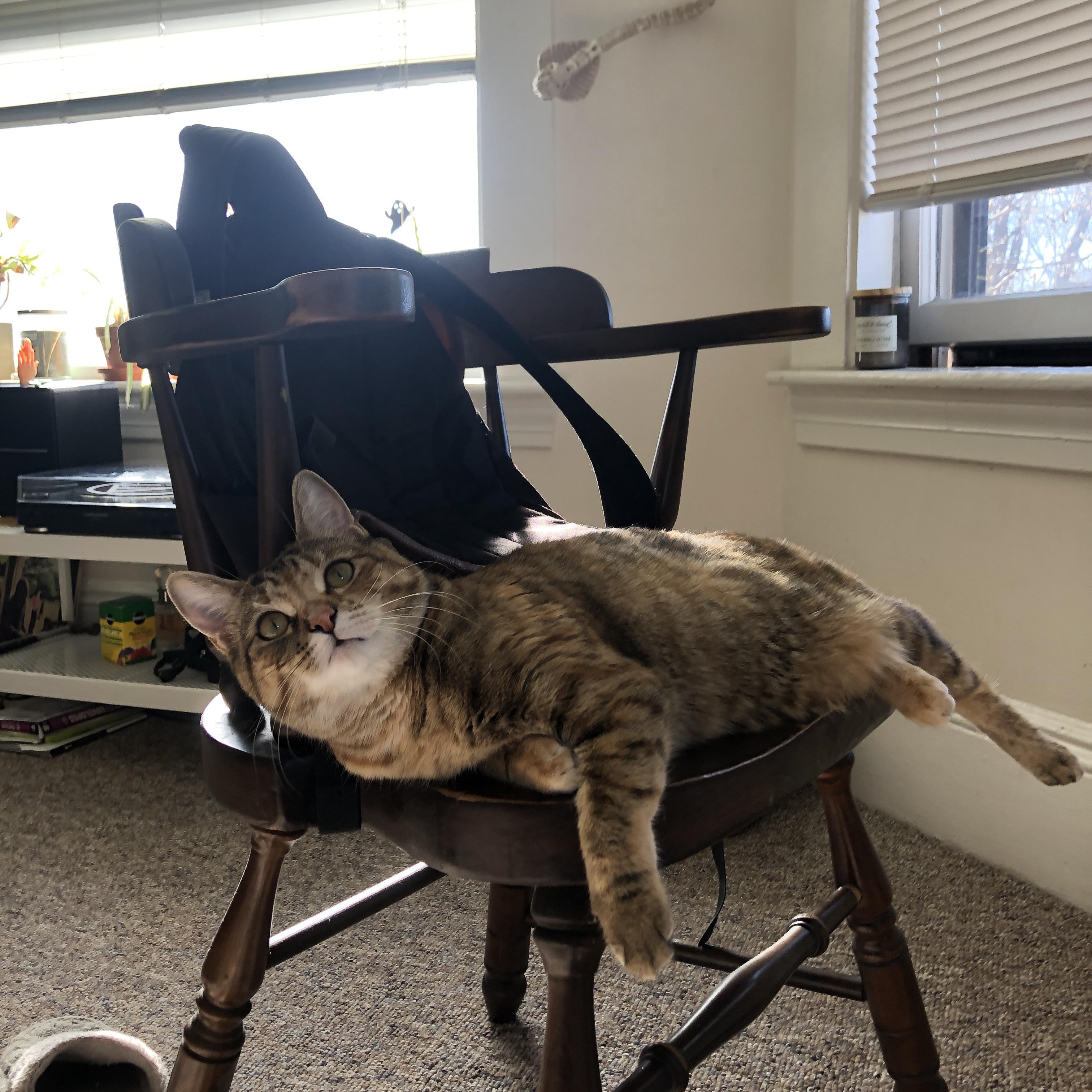 雷火电竞充值-奇迹夜，奥斯梅恩爆发与瑞典淘汰澳大利亚的足球剧本