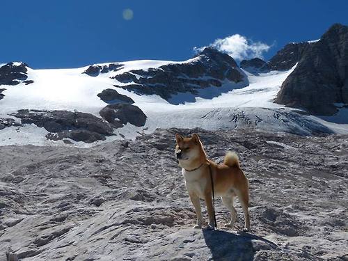 隐形的舵手，当克罗地亚遇见厄瓜多尔，谁是暗处的主宰者？