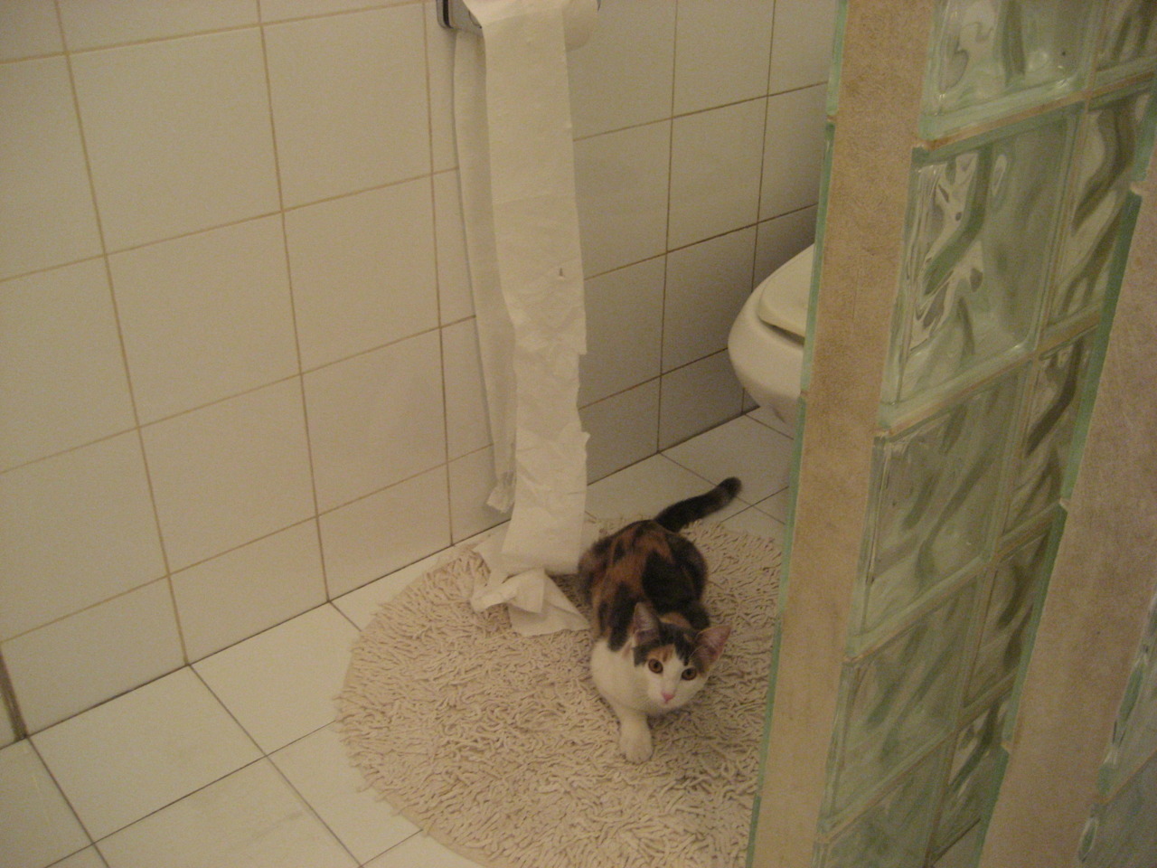 意甲焦点战之夜，三笘薰，一位无冕冠军的破局美学