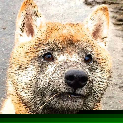 奥利维耶的钥匙，一场非典型胜利，解锁皇马硬骨头迷局