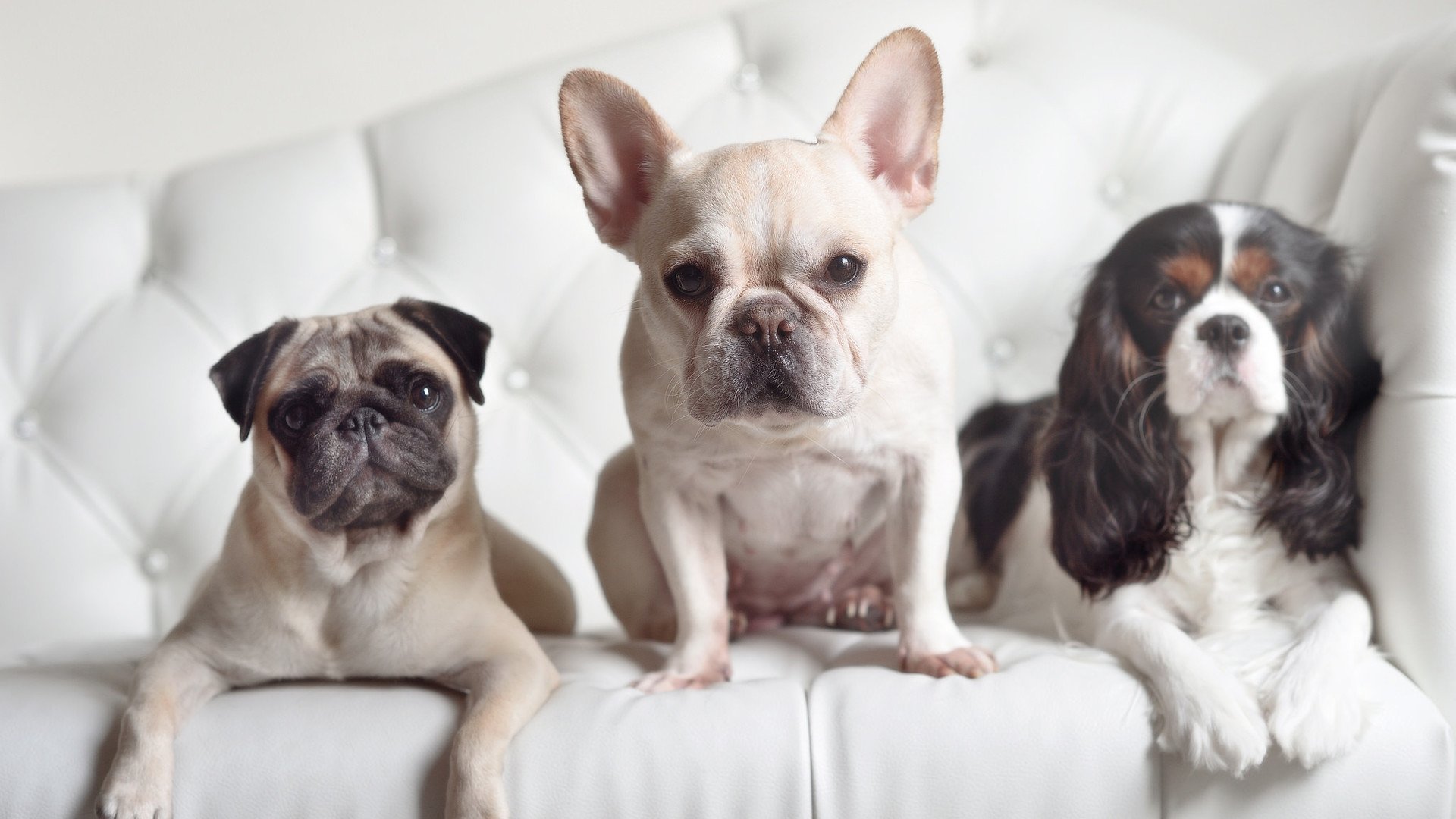 塔图姆化身当代雷阿伦，凯尔特人对阵独行侠，关键战一剑封喉